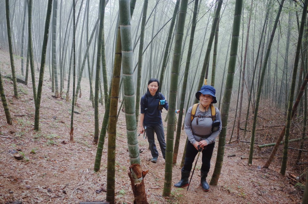 桃園金面山O形