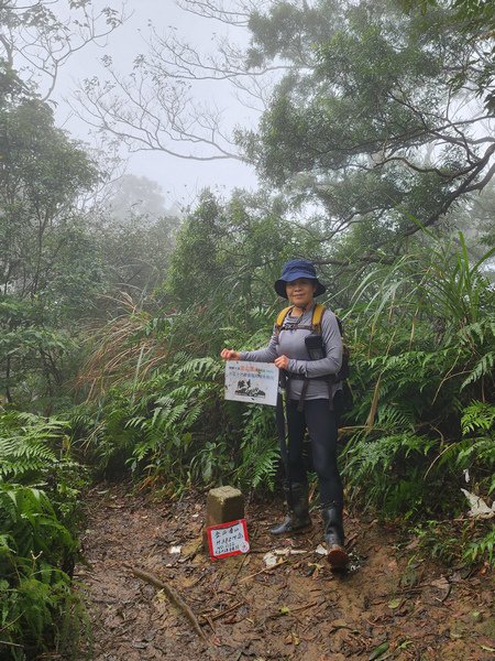 桃園金面山O形