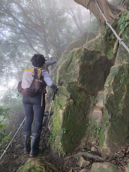 桃園金面山O形