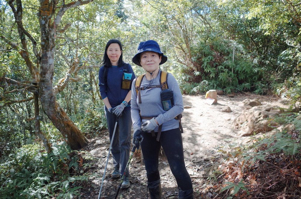 桃園金面山O形