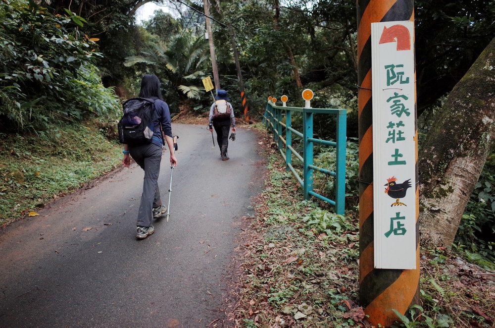 桃園金面山O形