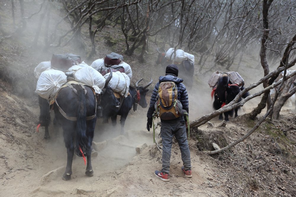 尼泊爾：聖母峰基地營健行 -9 Pheriche（費利崎）→