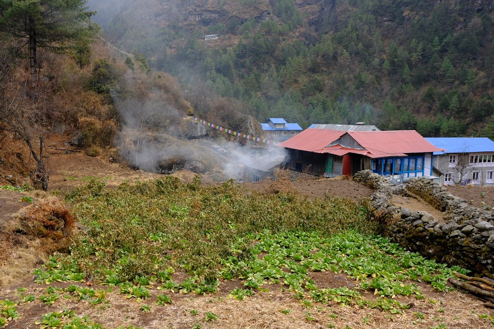 尼泊爾：聖母峰基地營健行 -9 Pheriche（費利崎）→