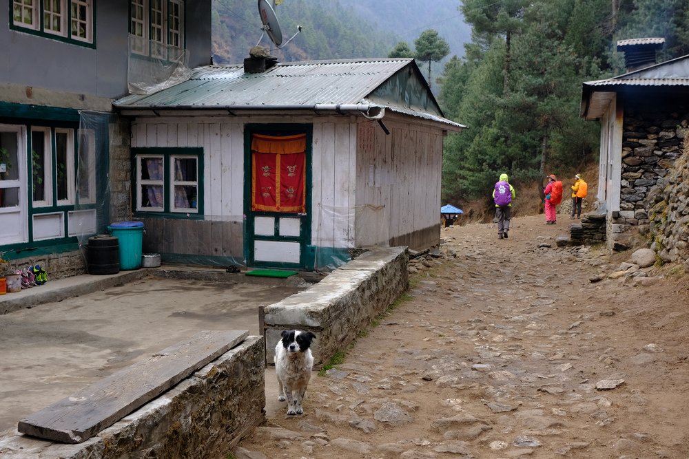 尼泊爾：聖母峰基地營健行 -9 Pheriche（費利崎）→