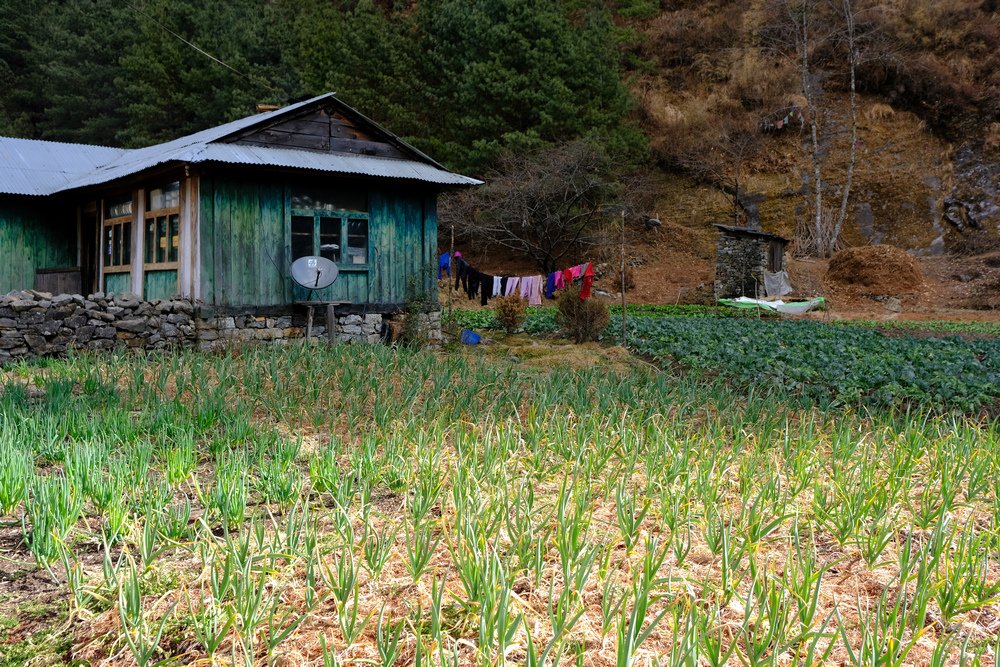 尼泊爾：聖母峰基地營健行 -9 Pheriche（費利崎）→