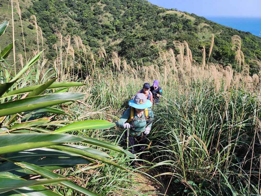 瑞芳--南子吝、小錐麓、大鬼瀑布、保羅尖O型