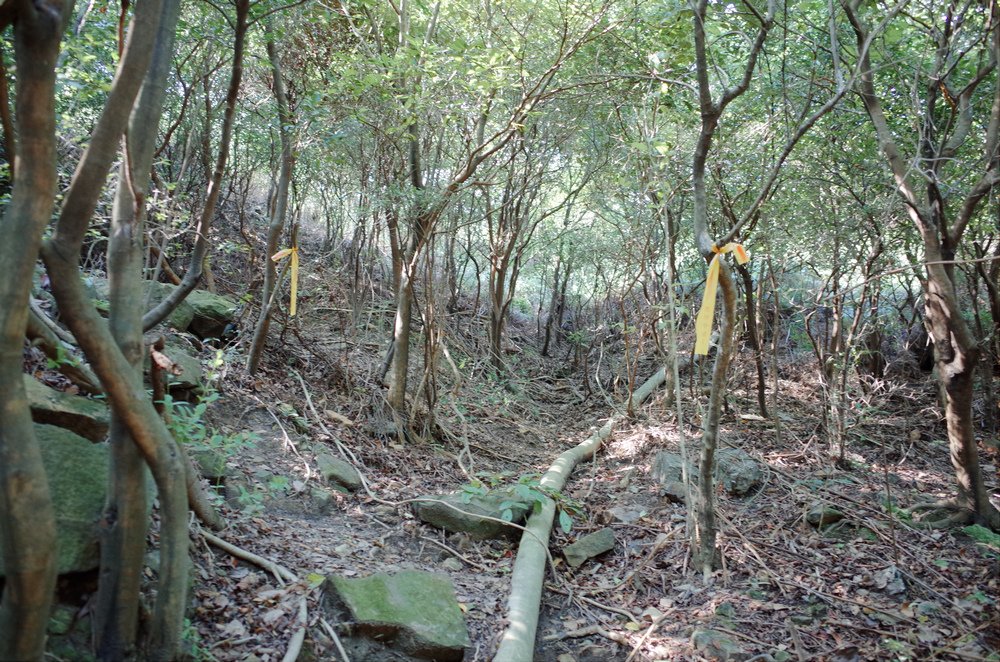 瑞芳--南子吝、小錐麓、大鬼瀑布、保羅尖O型