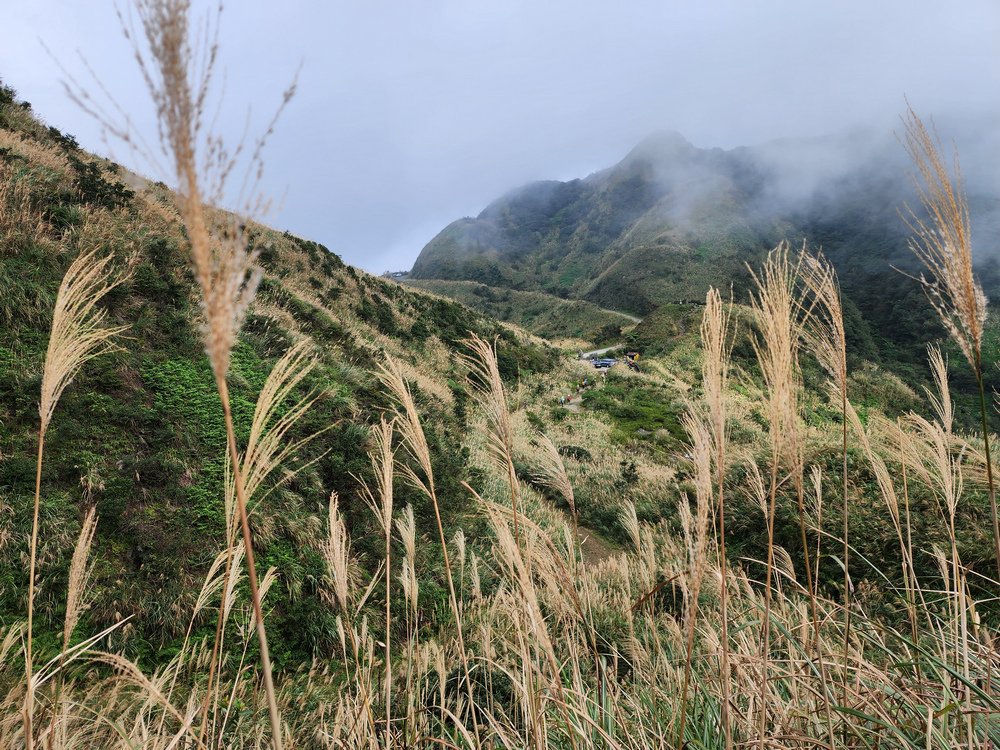 牡丹山、三貂崙、金瓜石露頭O型