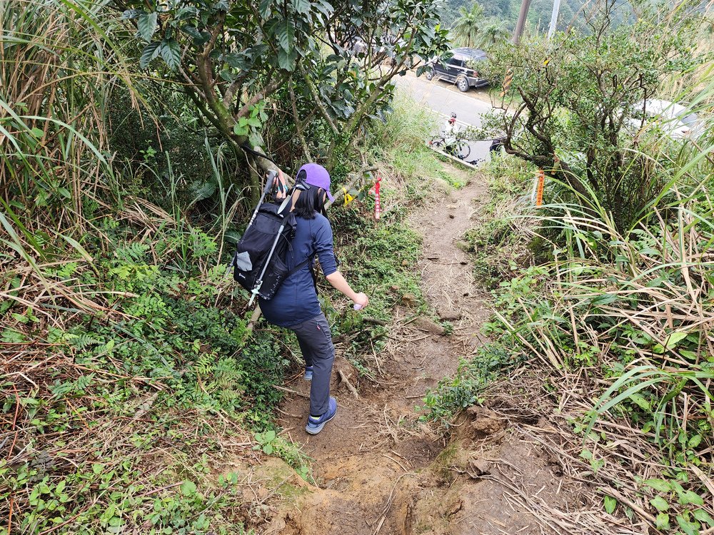 牡丹山、三貂崙、金瓜石露頭O型