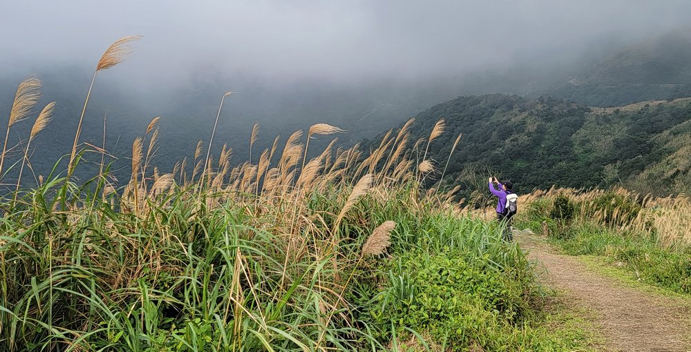 牡丹山、三貂崙、金瓜石露頭O型