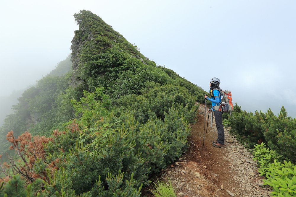 日本：後立山連峰之5～爺ヶ岳與種池山莊