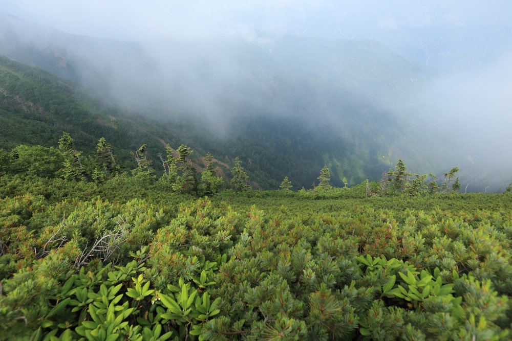 日本：後立山連峰之5～爺ヶ岳與種池山莊