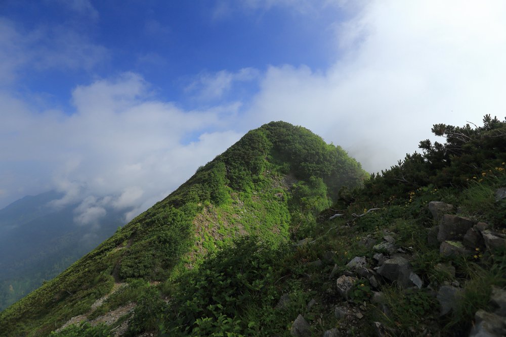 日本：後立山連峰之5～爺ヶ岳與種池山莊