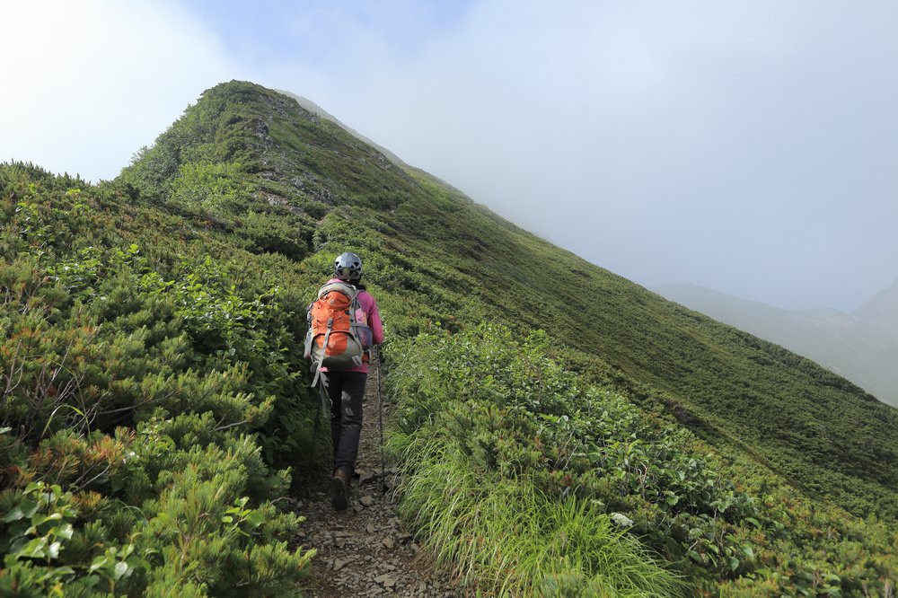 日本：後立山連峰之5～爺ヶ岳與種池山莊