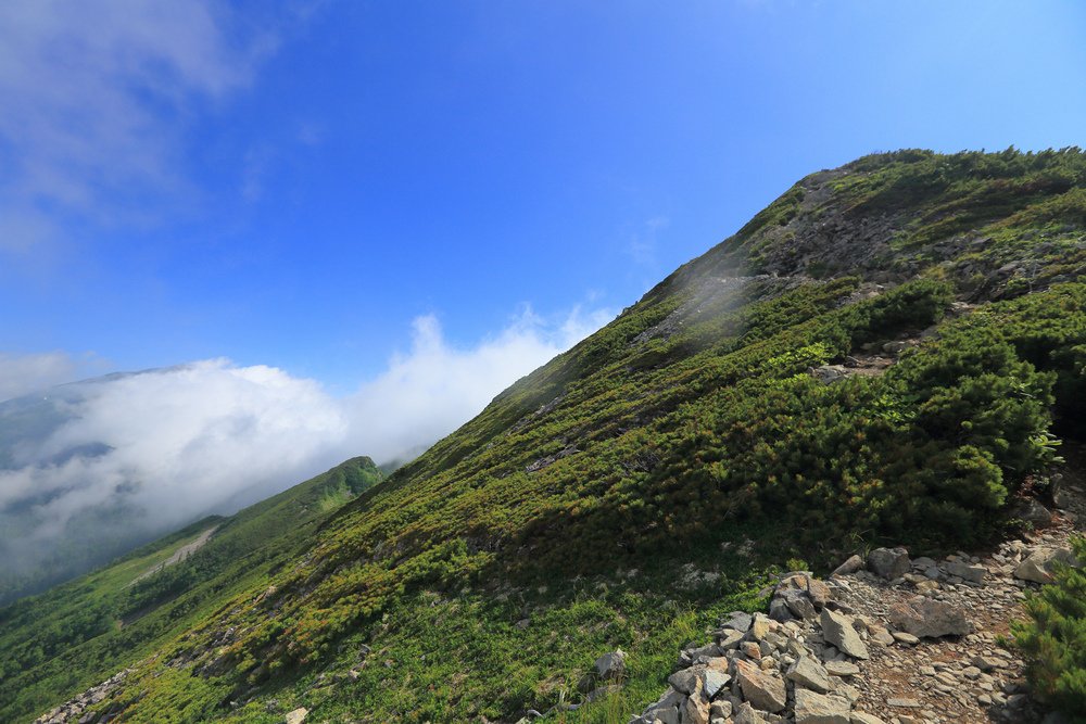 日本：後立山連峰之5～爺ヶ岳與種池山莊