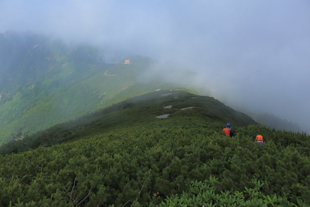 日本：後立山連峰之5～爺ヶ岳與種池山莊