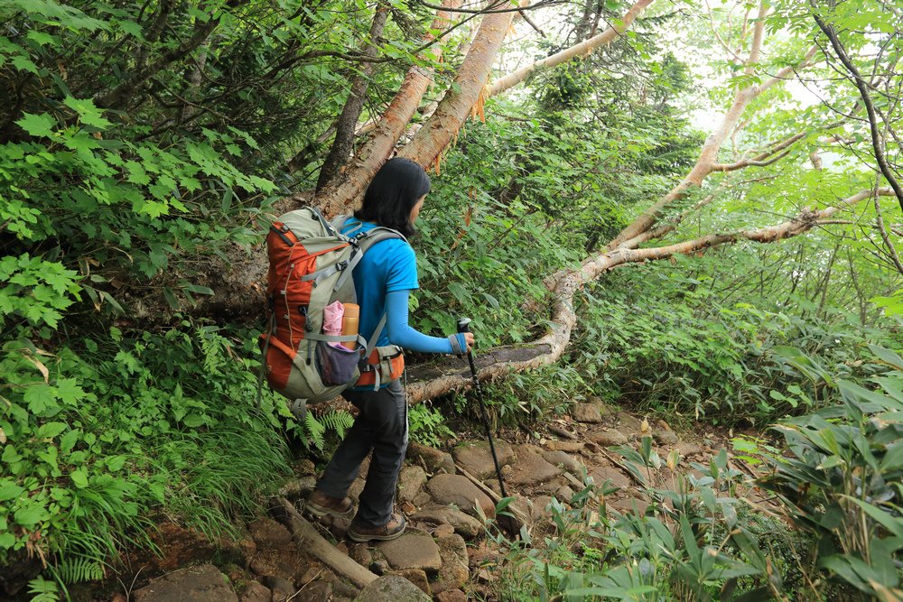 日本：後立山連峰之5～爺ヶ岳與種池山莊