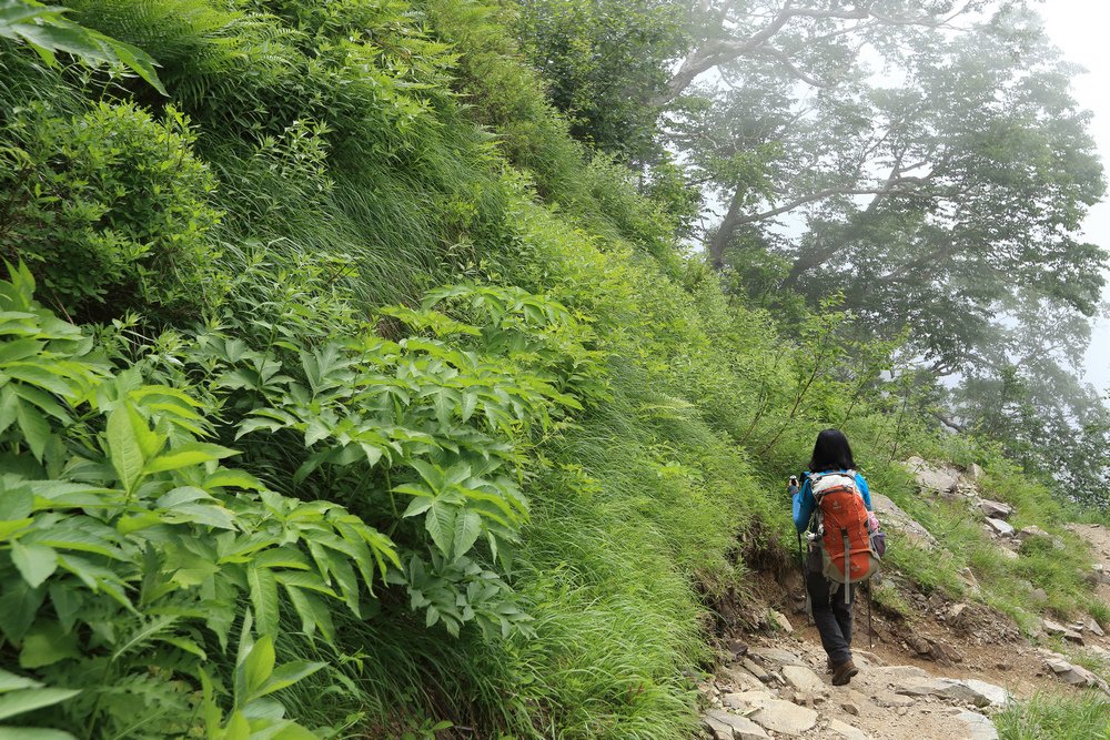 日本：後立山連峰之5～爺ヶ岳與種池山莊