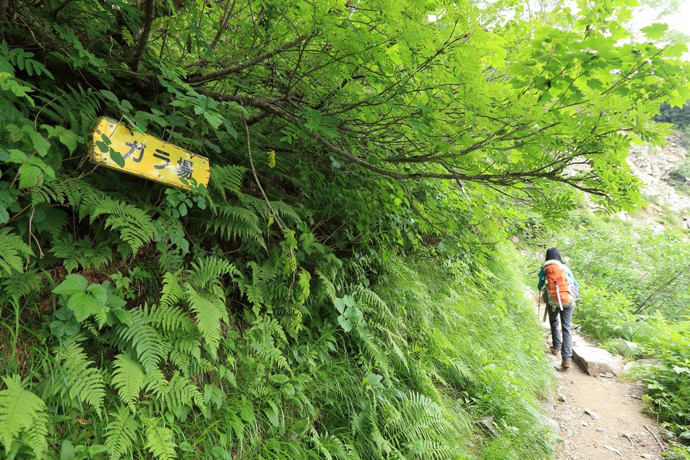 日本：後立山連峰之5～爺ヶ岳與種池山莊