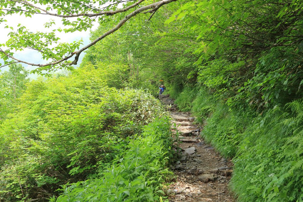 日本：後立山連峰之5～爺ヶ岳與種池山莊