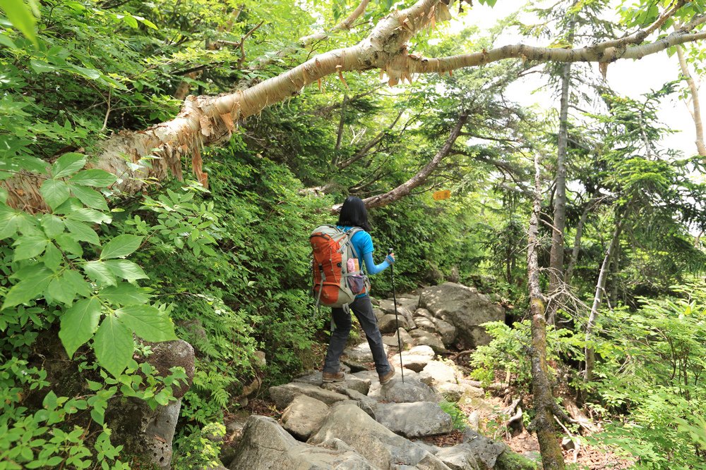 日本：後立山連峰之5～爺ヶ岳與種池山莊