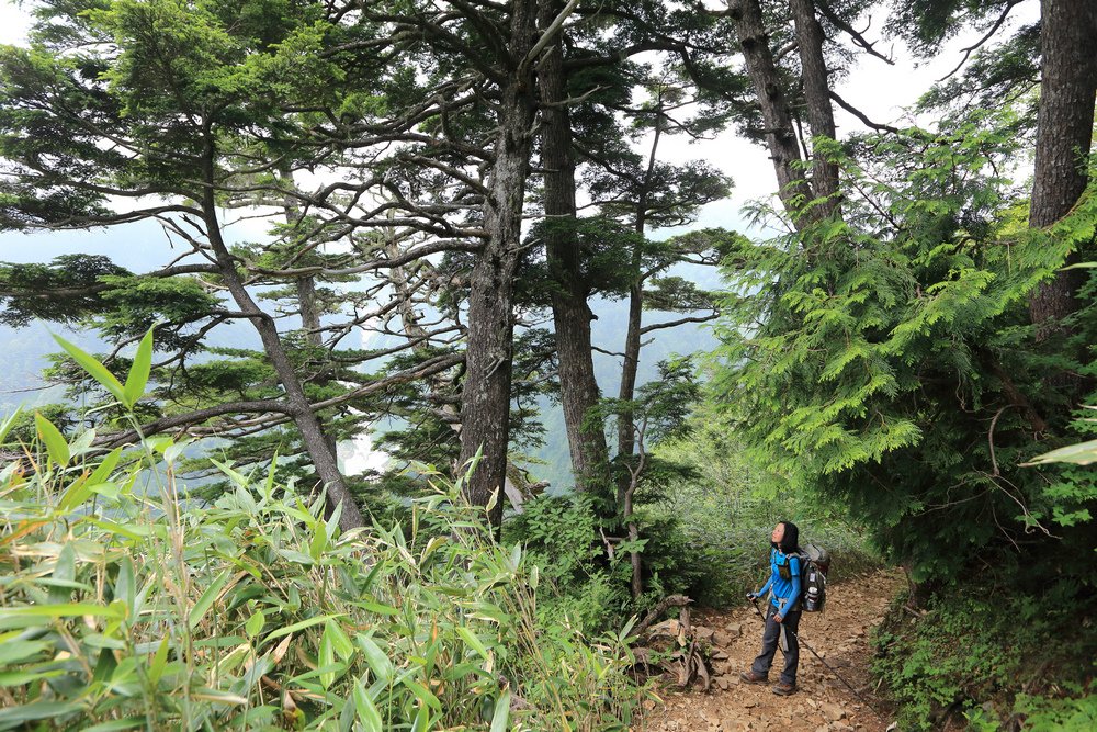 日本：後立山連峰之5～爺ヶ岳與種池山莊