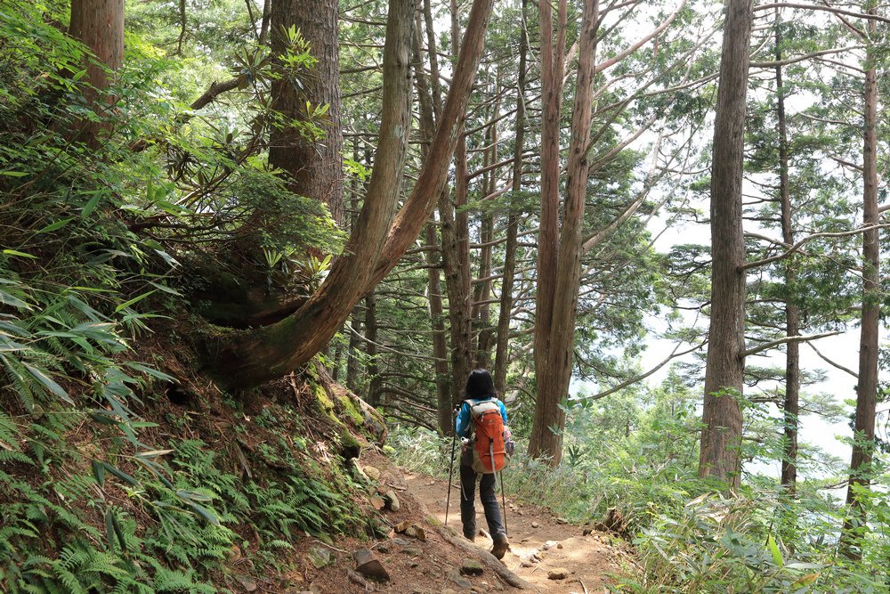 日本：後立山連峰之5～爺ヶ岳與種池山莊