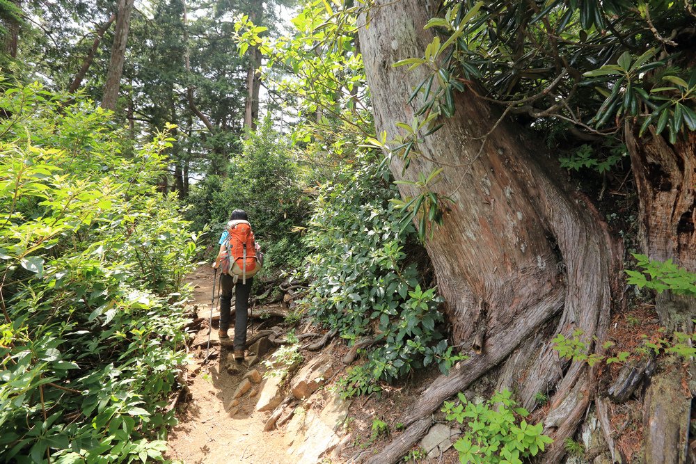 日本：後立山連峰之5～爺ヶ岳與種池山莊