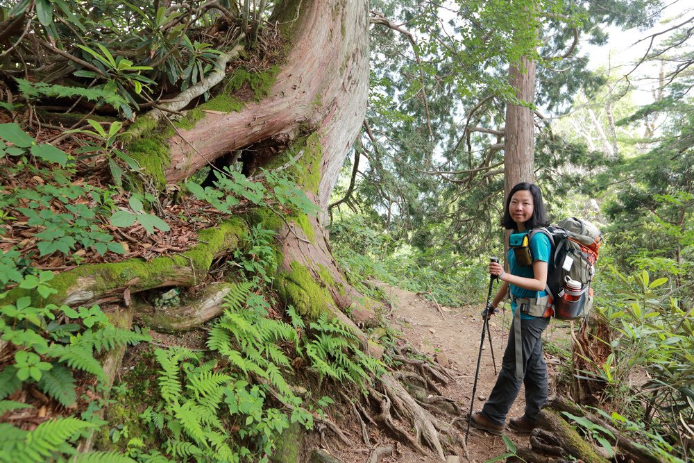 日本：後立山連峰之5～爺ヶ岳與種池山莊