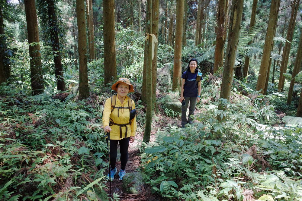 鵝公髻山與鵝公髻東北峰