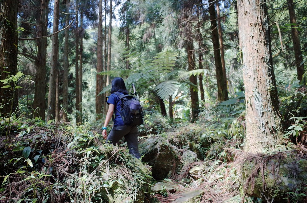 鵝公髻山與鵝公髻東北峰