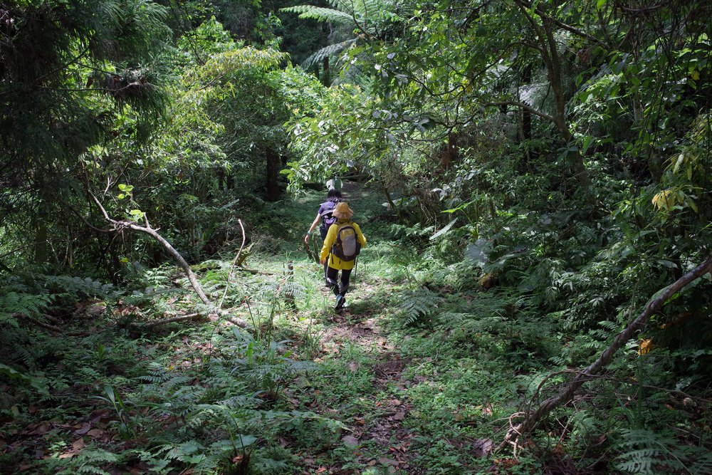 鵝公髻山與鵝公髻東北峰