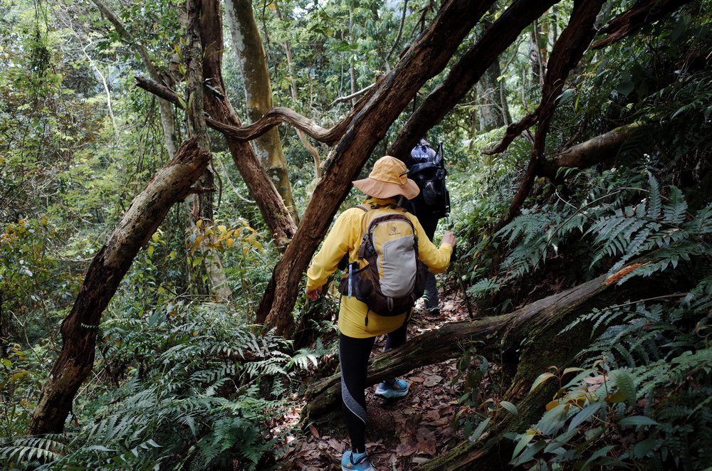 鵝公髻山與鵝公髻東北峰