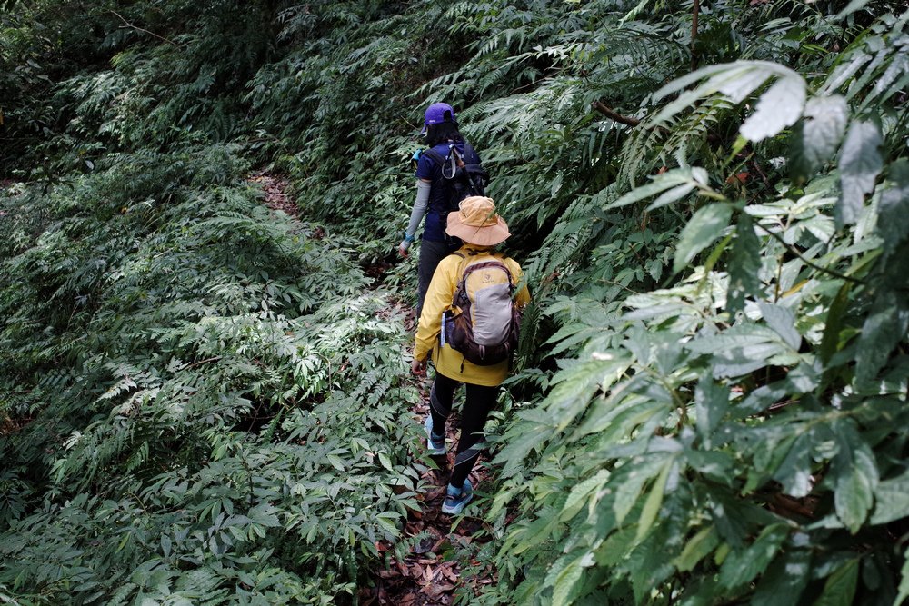 鵝公髻山與鵝公髻東北峰