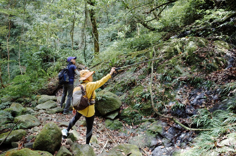 鵝公髻山與鵝公髻東北峰