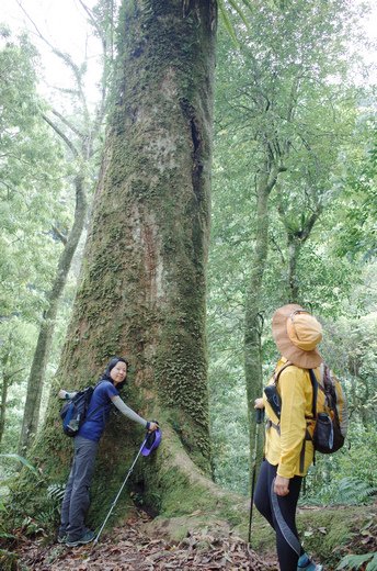 鵝公髻山與鵝公髻東北峰