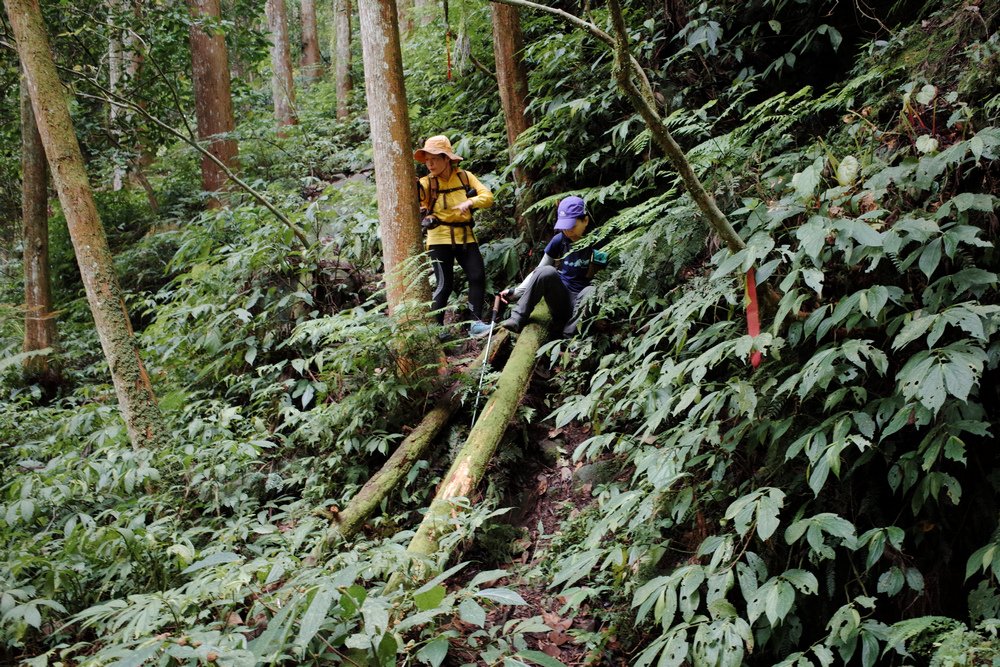 鵝公髻山與鵝公髻東北峰