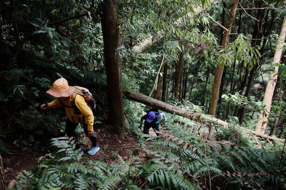 鵝公髻山與鵝公髻東北峰