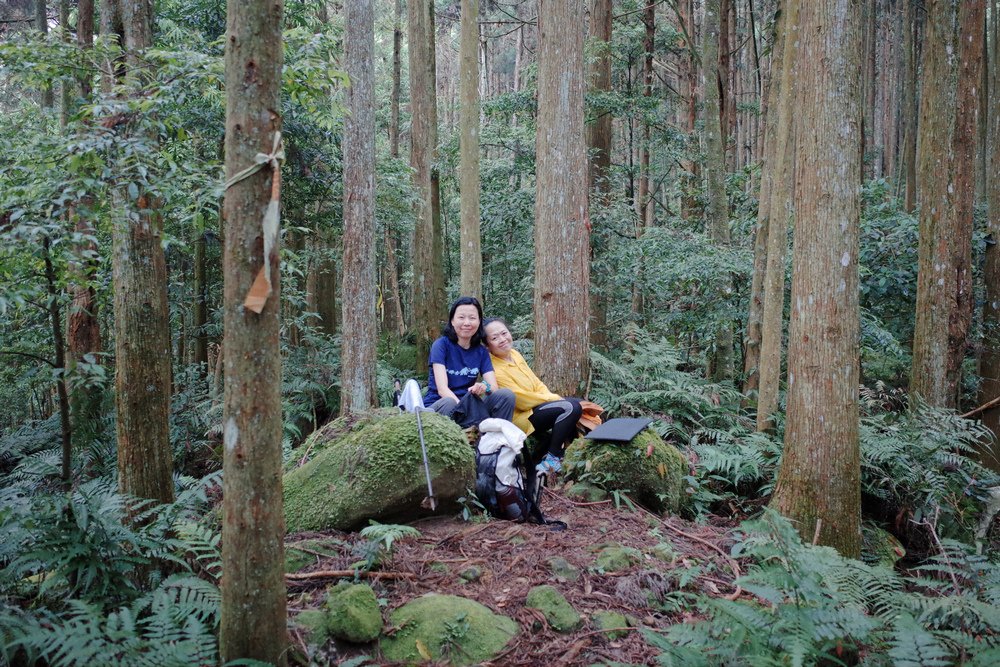 鵝公髻山與鵝公髻東北峰