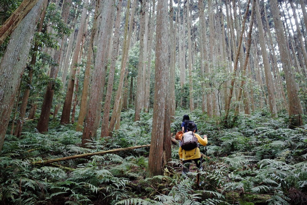 鵝公髻山與鵝公髻東北峰