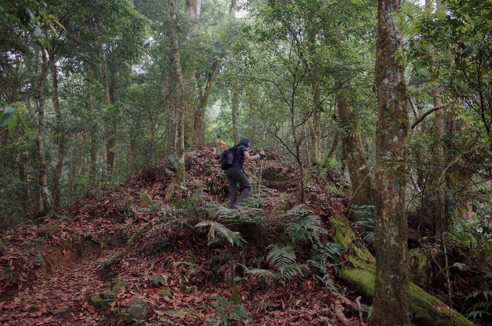 鵝公髻山與鵝公髻東北峰