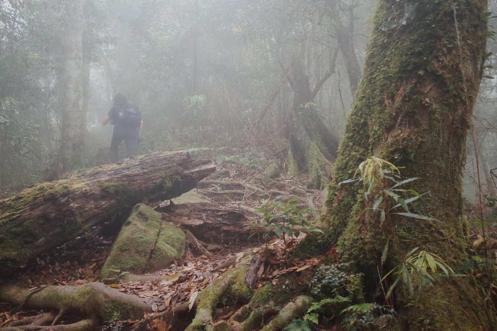 鵝公髻山與鵝公髻東北峰