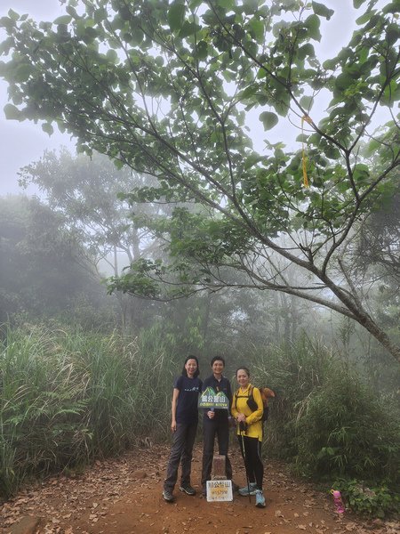 鵝公髻山與鵝公髻東北峰