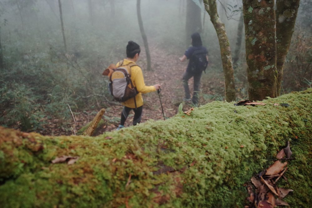 鵝公髻山與鵝公髻東北峰