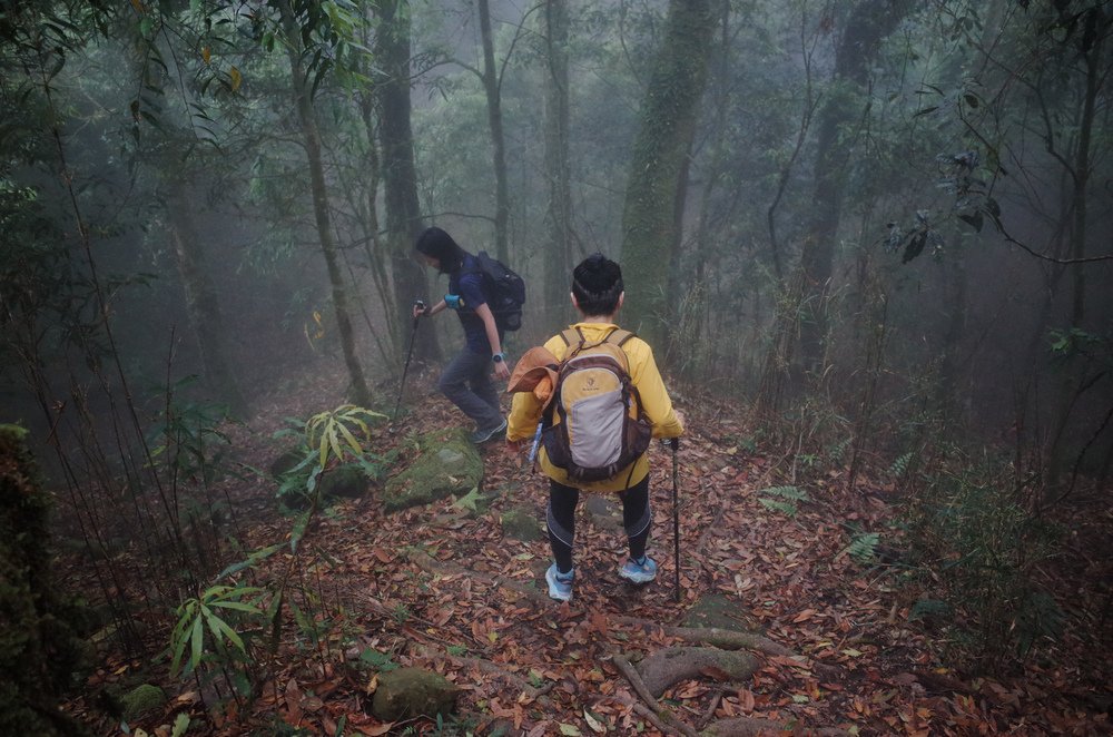 鵝公髻山與鵝公髻東北峰