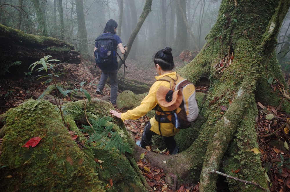 鵝公髻山與鵝公髻東北峰