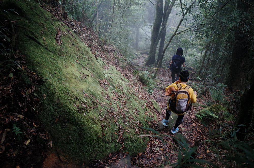 鵝公髻山與鵝公髻東北峰