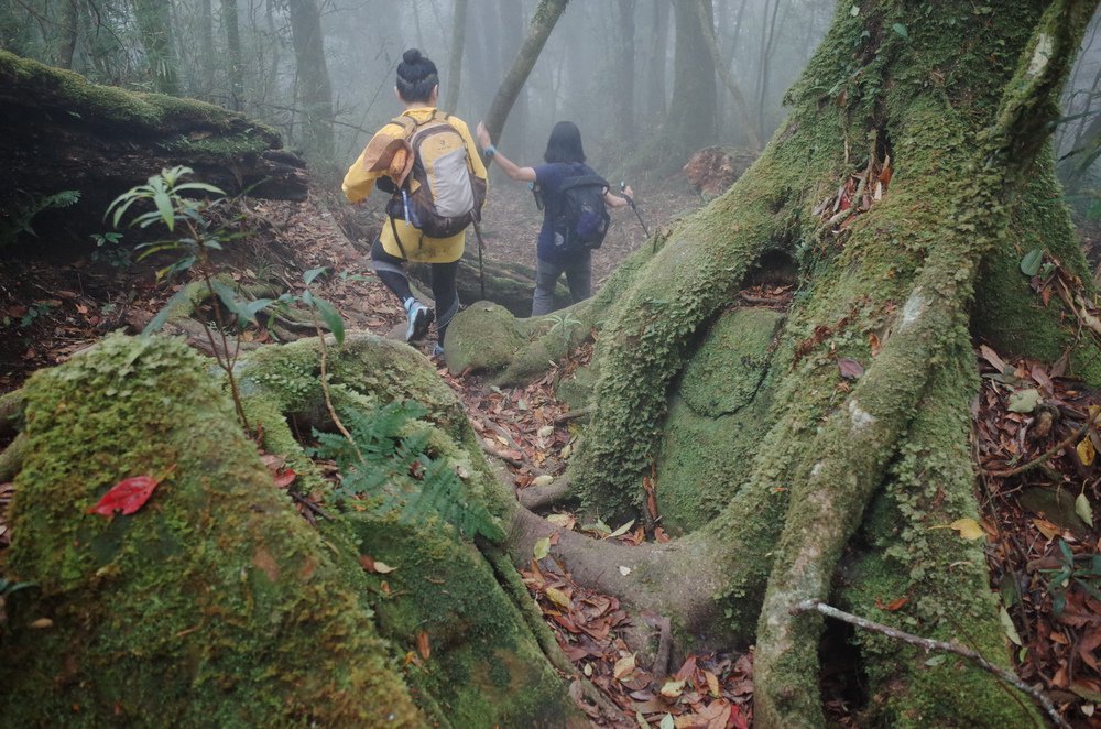 鵝公髻山與鵝公髻東北峰