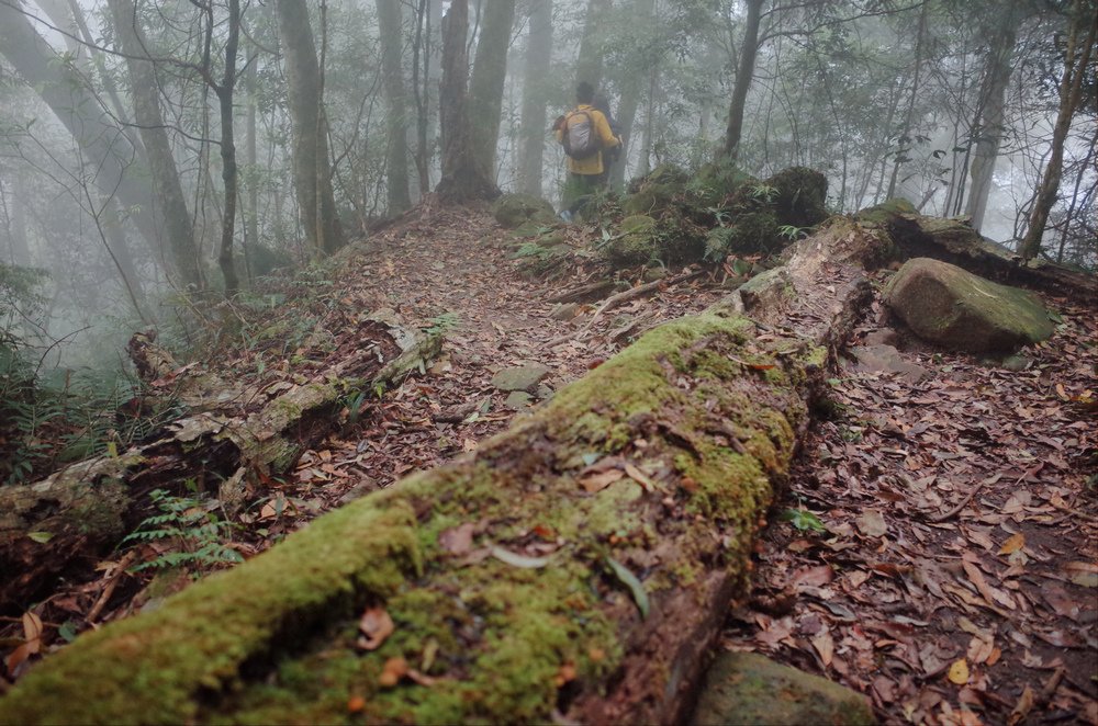 鵝公髻山與鵝公髻東北峰