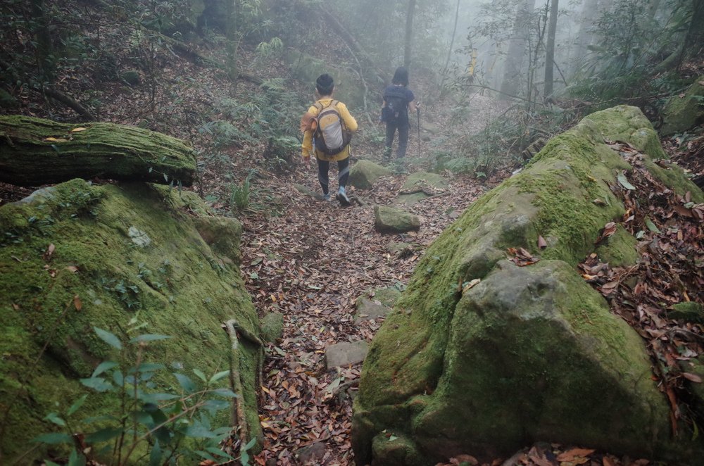 鵝公髻山與鵝公髻東北峰